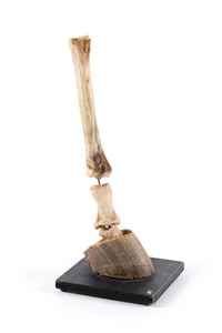 Image description is not available for 1997.1.2